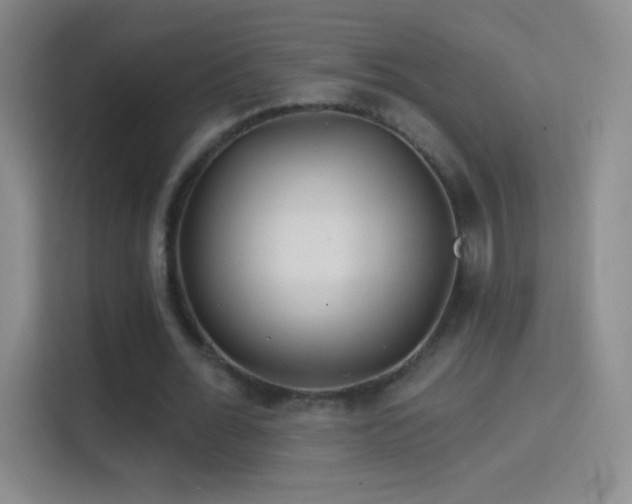 X0000114400676200910231110