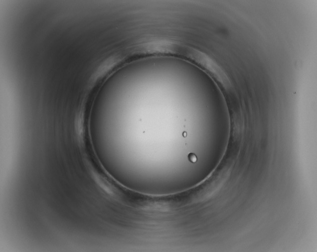 X0000114400677200910231110