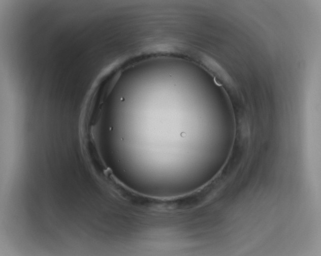 X0000114400680200910231110