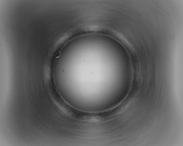 X0000114400683200910231110