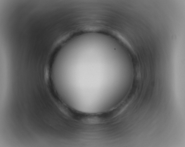 X0000114400685200910231110