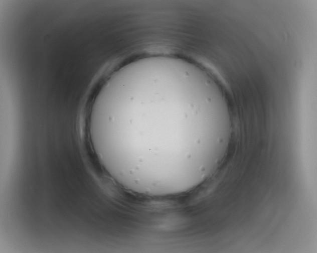 X0000114400686200910231110