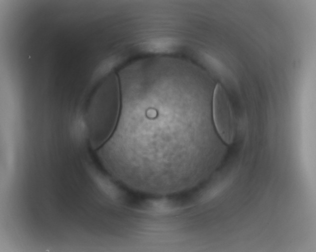 X0000114400688200910231110