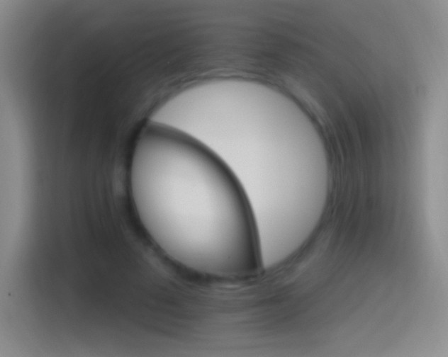 X0000114400689200910231110