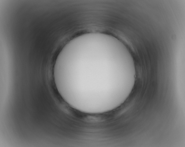 X0000114400690200910231110