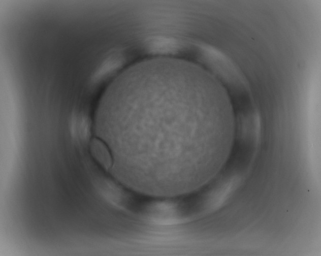 X0000114400692200910231110