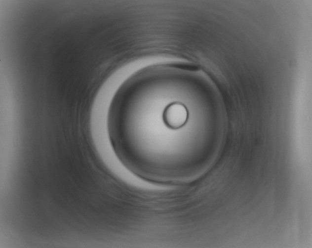 X0000114400693200910231110