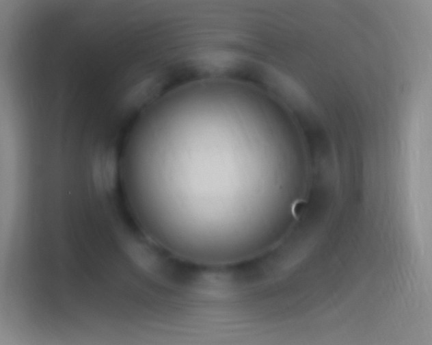 X0000114400694200910231110