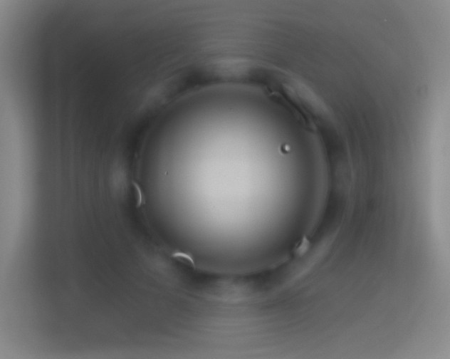 X0000114400697200910231110