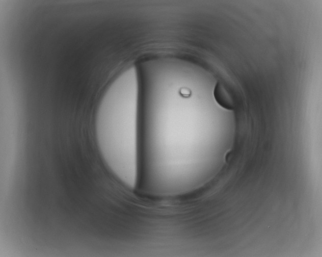 X0000114400700200910231110