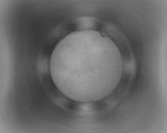 X0000114400701200910231110