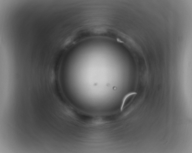 X0000114400704200910231110