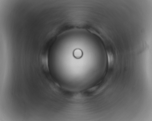 X0000114400705200910231109