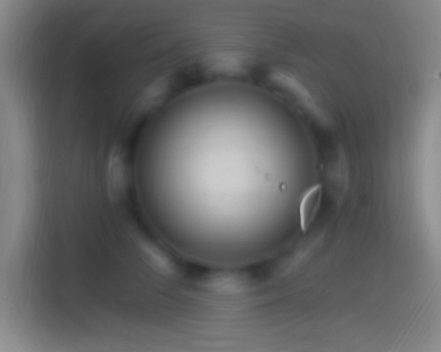 X0000114400708200910231109