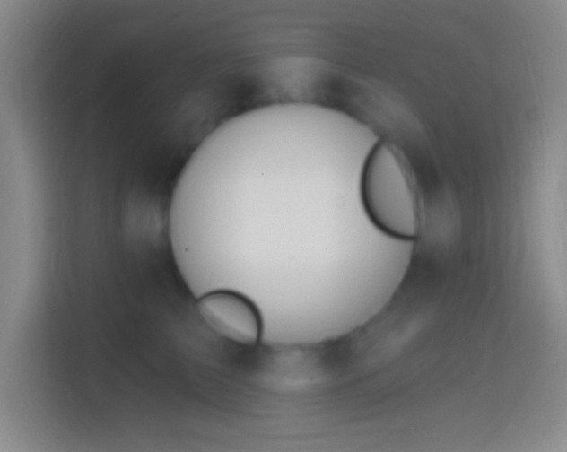 X0000114400709200910231109