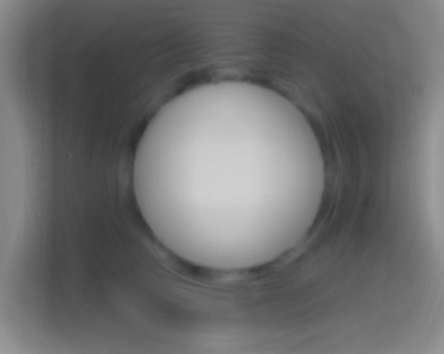 X0000114400710200910231109