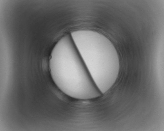 X0000114400715200910231109