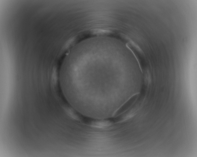 X0000114400716200910231109