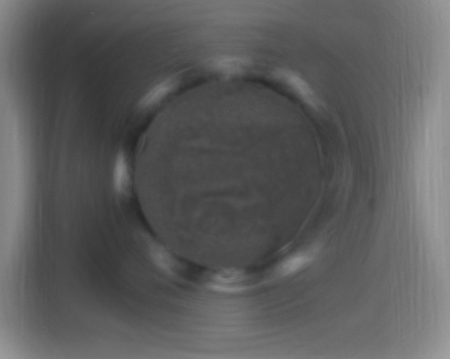 X0000114400720200910231109