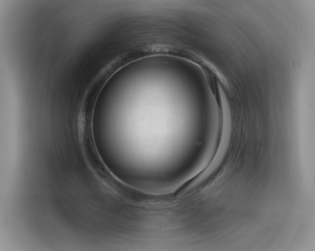 X0000114400722200910231109