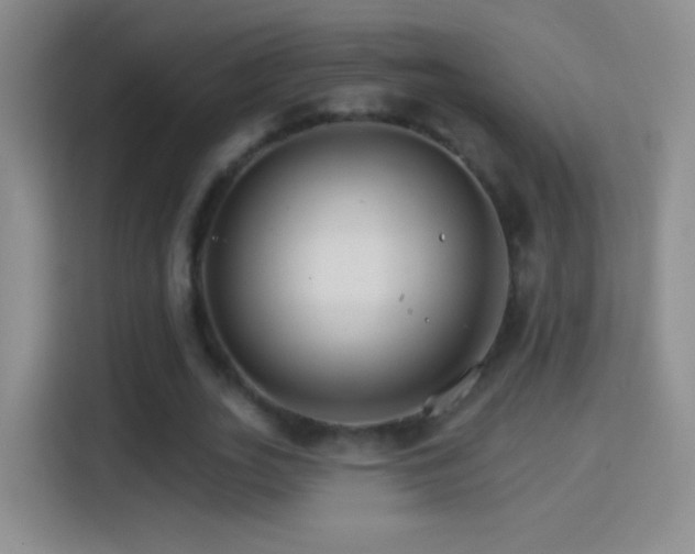 X0000114400727200910231109