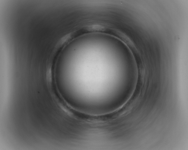 X0000114400729200910231109