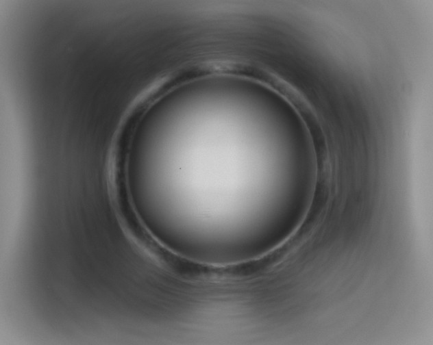 X0000114400730200910231109