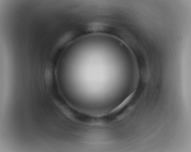 X0000114400735200910231109