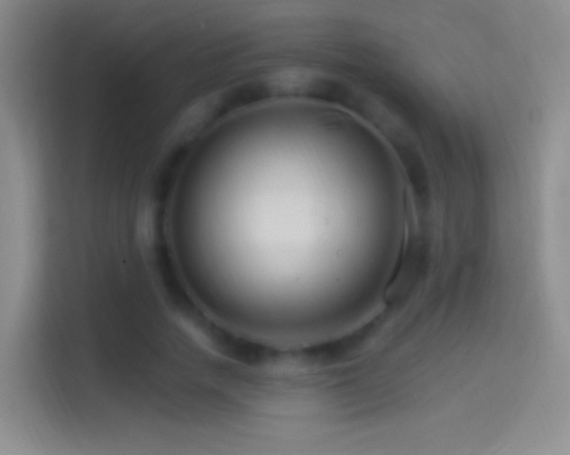 X0000114400738200910231109