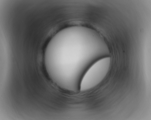 X0000114400739200910231109