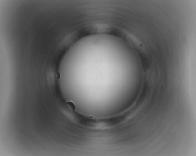 X0000114400741200910231109