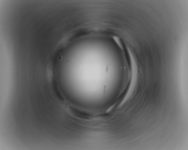 X0000114400746200910231109