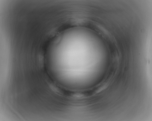 X0000114400749200910231109