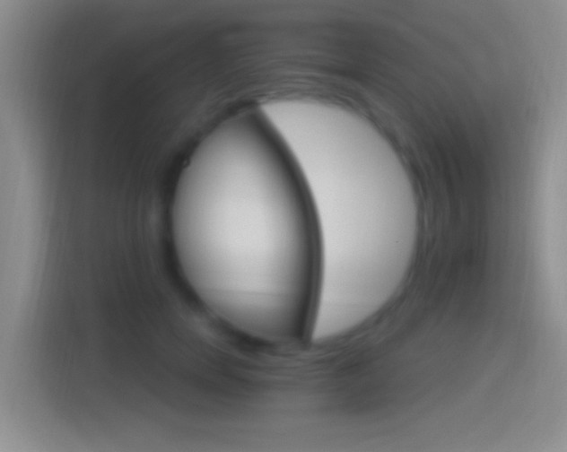 X0000114400750200910231109