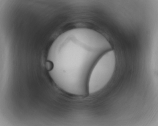 X0000114400755200910231109