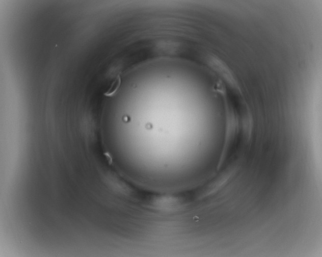 X0000114400759200910231109