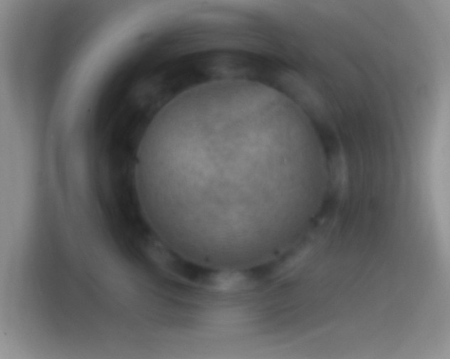 X0000114400762200910231109