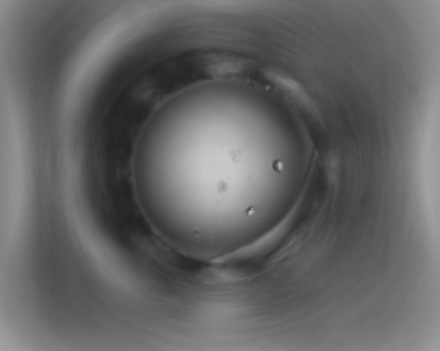 X0000114400763200910231109