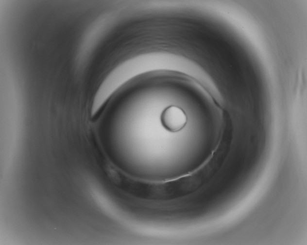 X0000114400766200910231109