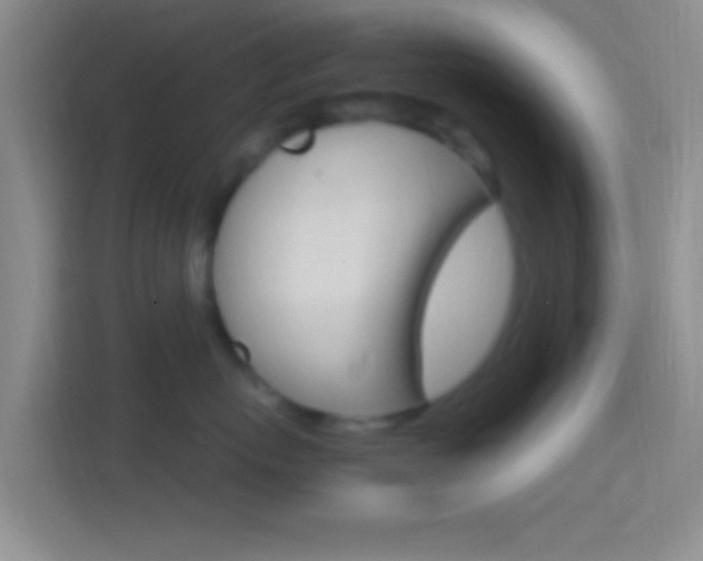 X0000114400767200910231109