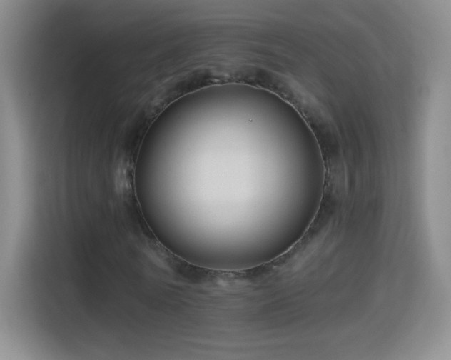 X0000114400770200910231109