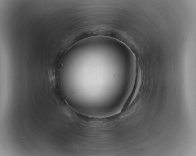 X0000114400771200910231109