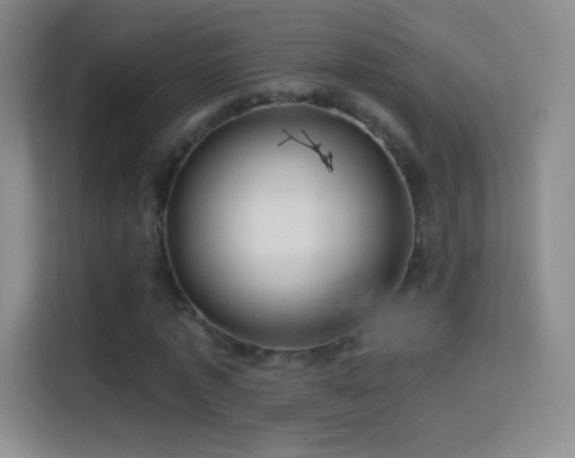 X0000114400773200910231109