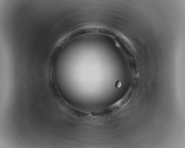 X0000114400775200910231109