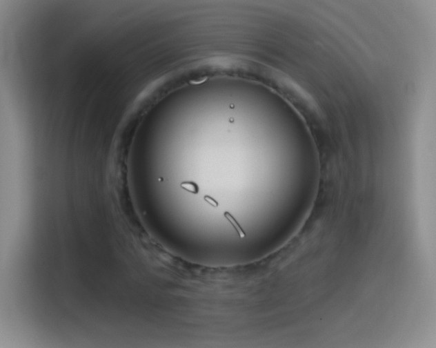 X0000114400776200910231109