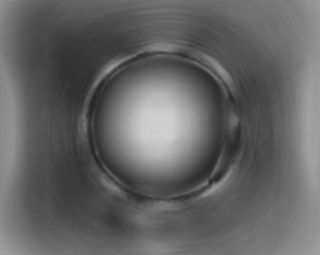 X0000114400779200910231109