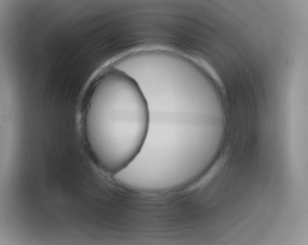 X0000114400781200910231108