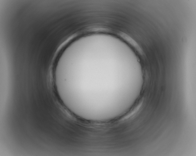 X0000114400782200910231108