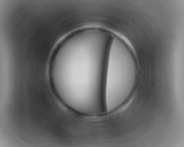 X0000114400783200910231108