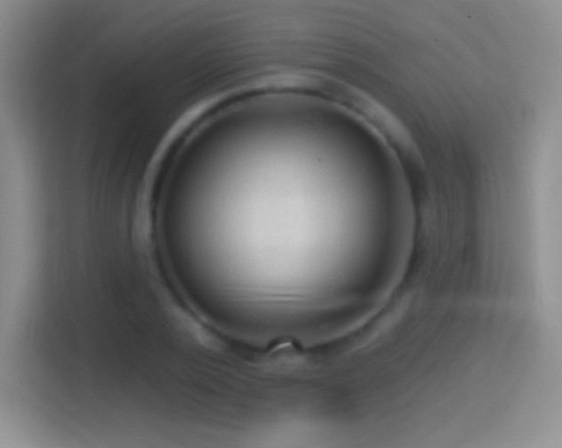 X0000114400784200910231108